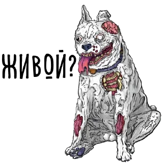 Sticker from Тупые арты (@cute_enot_art)