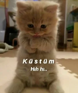 😑 emoji @lhuseynova @DTOUserBot Paketi 1 Telegram sticker 17 of 94