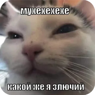 Sticker from мили кити :³ @SoyBite