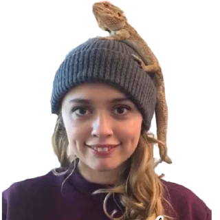 😁 emoji Sex education Telegram sticker 21 of 95