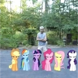 Sticker from Mlp meme!