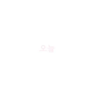 🇰🇷 emoji 한국인 Telegram sticker 9 of 19