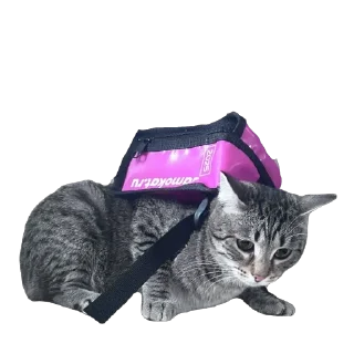 🫥 emoji Тугрик Telegram sticker 22 of 32