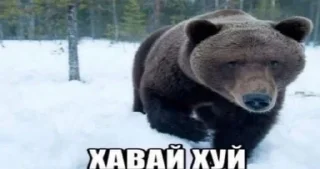 😈 emoji На все случаи в жизни||ЧАК Telegram sticker 8 of 120