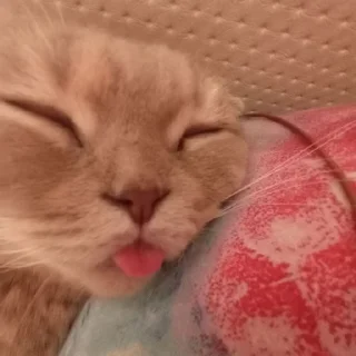 👅 emoji Дарсик Telegram sticker 7 of 17