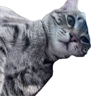 🌟 emoji Тугрик Telegram sticker 7 of 32