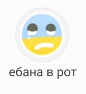 чонаху sticker 3
