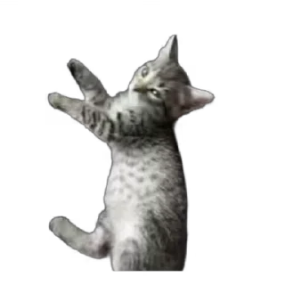 🫥 emoji Тугрик Telegram sticker 20 of 32