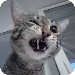 🫥 emoji Тугрик Telegram sticker 17 of 32