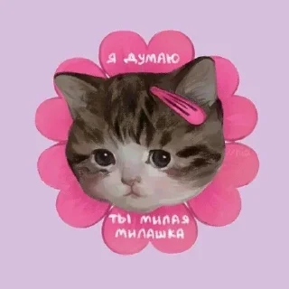 Sticker from жиза
