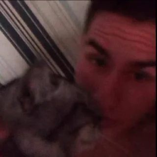 🌟 emoji МАВВВВВААА Telegram sticker 18 of 65