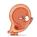 👂 emoji Human Organs Telegram sticker 20 of 27