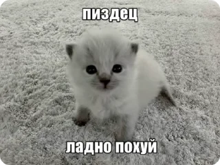 🌟 emoji Да хз ваще Telegram sticker 5 of 23