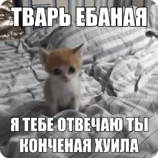 🌟 emoji Да хз ваще Telegram sticker 7 of 23