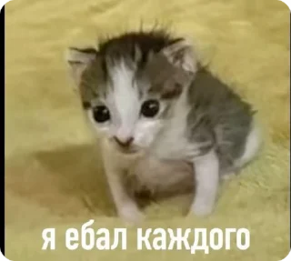 🌟 emoji Да хз ваще Telegram sticker 4 of 23