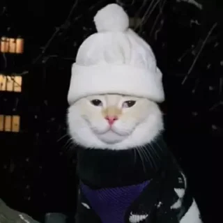 🥶 emoji Морды Telegram sticker 15 of 120