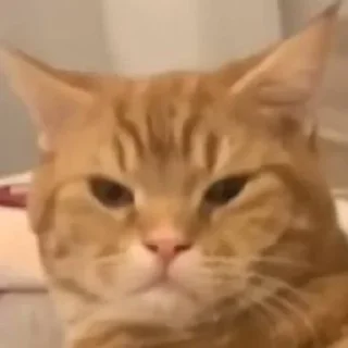 😒 emoji Морды Telegram sticker 8 of 120