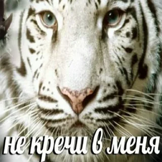 😓 emoji пук пук пук — @ukrainianrzhekich Telegram sticker 7 of 76