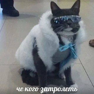 😎 emoji пук пук пук — @ukrainianrzhekich Telegram sticker 6 of 76
