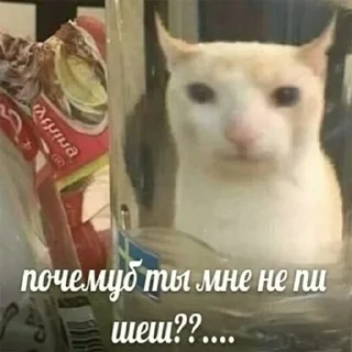 🥺 emoji пук пук пук — @ukrainianrzhekich Telegram sticker 3 of 76