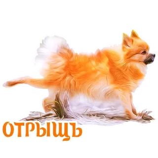 Sticker from Dogs @stickersb2b