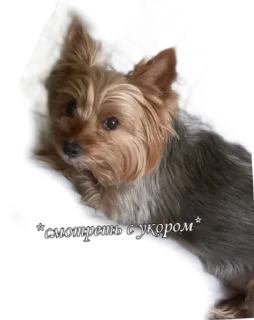 🤨 emoji бня как состояние души Telegram sticker 5 of 32