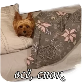 Sticker from бня как состояние души