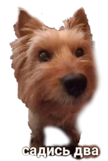 😒 emoji бня как состояние души Telegram sticker 6 of 32