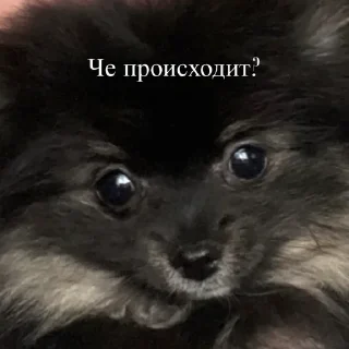 Sticker from Ступка