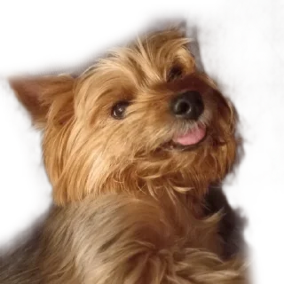 Sticker from бня как состояние души