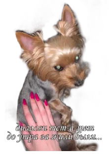 💋 emoji бня как состояние души Telegram sticker 15 of 32