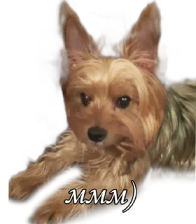 😏 emoji бня как состояние души Telegram sticker 12 of 32