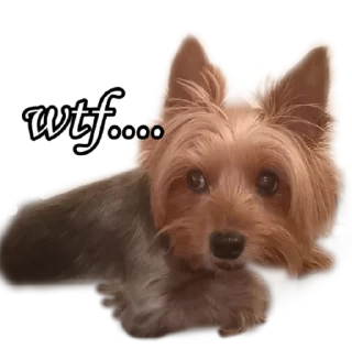 😡 emoji бня как состояние души Telegram sticker 24 of 32
