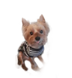 😝 emoji бня как состояние души Telegram sticker 20 of 32