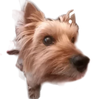🧐 emoji бня как состояние души Telegram sticker 11 of 32