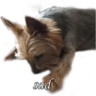 😭 emoji бня как состояние души Telegram sticker 9 of 32