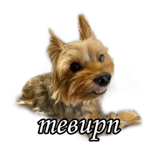 👋 emoji бня как состояние души Telegram sticker 22 of 32