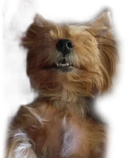 😁 emoji бня как состояние души Telegram sticker 10 of 32