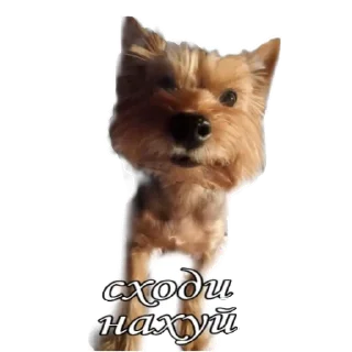 Sticker from бня как состояние души
