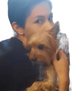 ❤️ emoji бня как состояние души Telegram sticker 18 of 32
