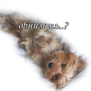 🤗 emoji бня как состояние души Telegram sticker 13 of 32