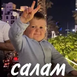 💚 emoji Саша Telegram sticker 14 of 30