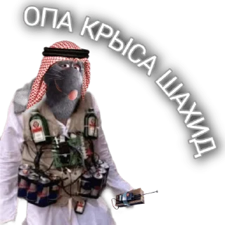 🐭 emoji Саша Telegram sticker 12 of 14