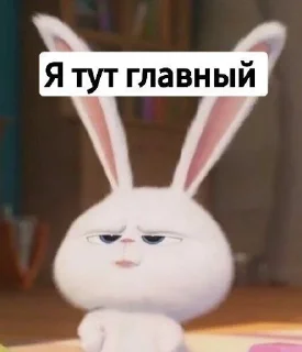 Sticker from ToedHylicWiry