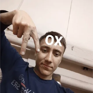 🖕 emoji твою мать ебал Telegram sticker 11 of 14