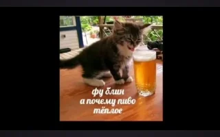 Sticker from Мать ебал