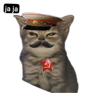 Sticker from ХЗ ВАЩЕ