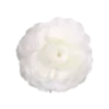 Flower :: @its_jisoo_kim sticker preview 4