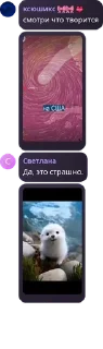 Sticker from бесплатный дуров