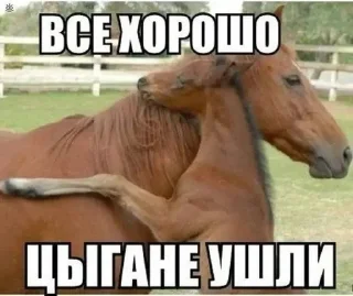 🌟 emoji украл - не уважаешь себя Telegram sticker 15 of 53